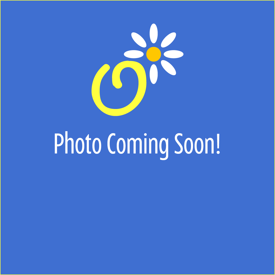 Fruit Basket – Oopsie Daisy Llc, Berlin NJ