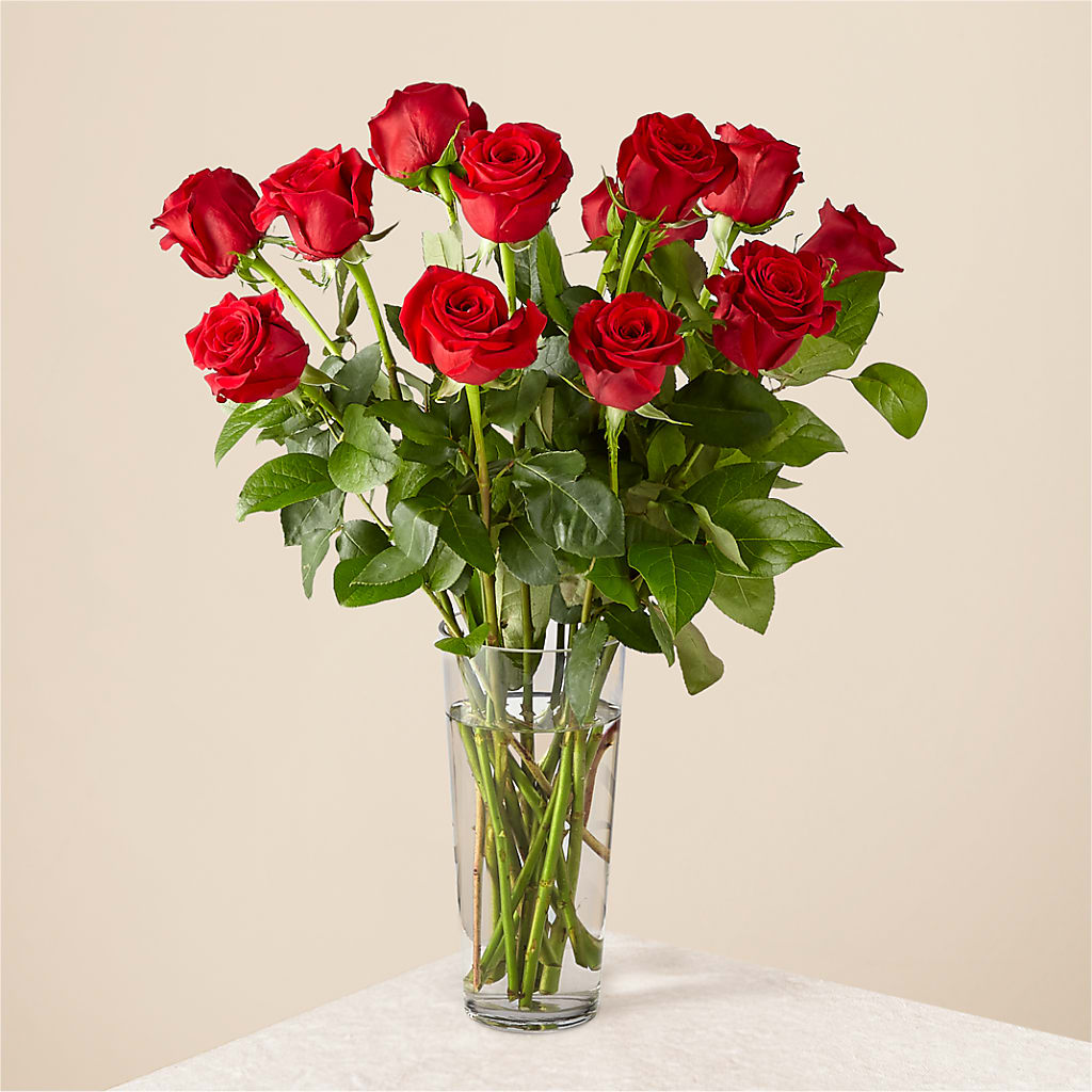 Long Stem Red Rose Bouquet – Oopsie Daisy Llc, Berlin NJ