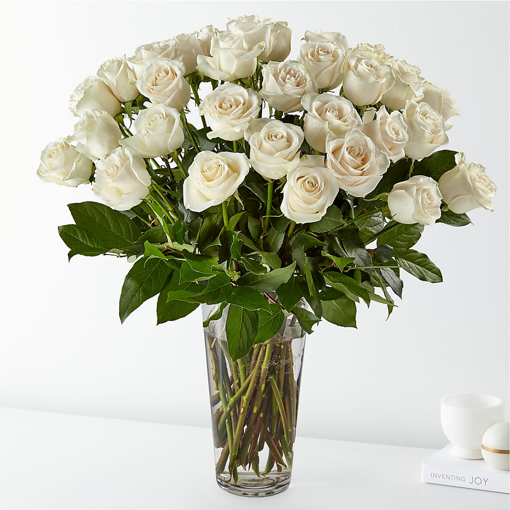 Long Stem White Rose Bouquet – Oopsie Daisy Llc, Berlin NJ
