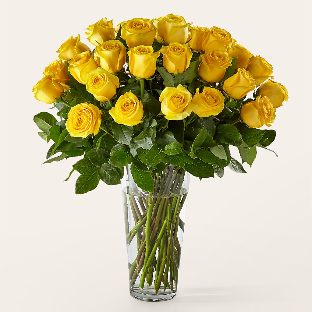 Long Stem Yellow Rose Bouquet – Oopsie Daisy Llc, Berlin NJ