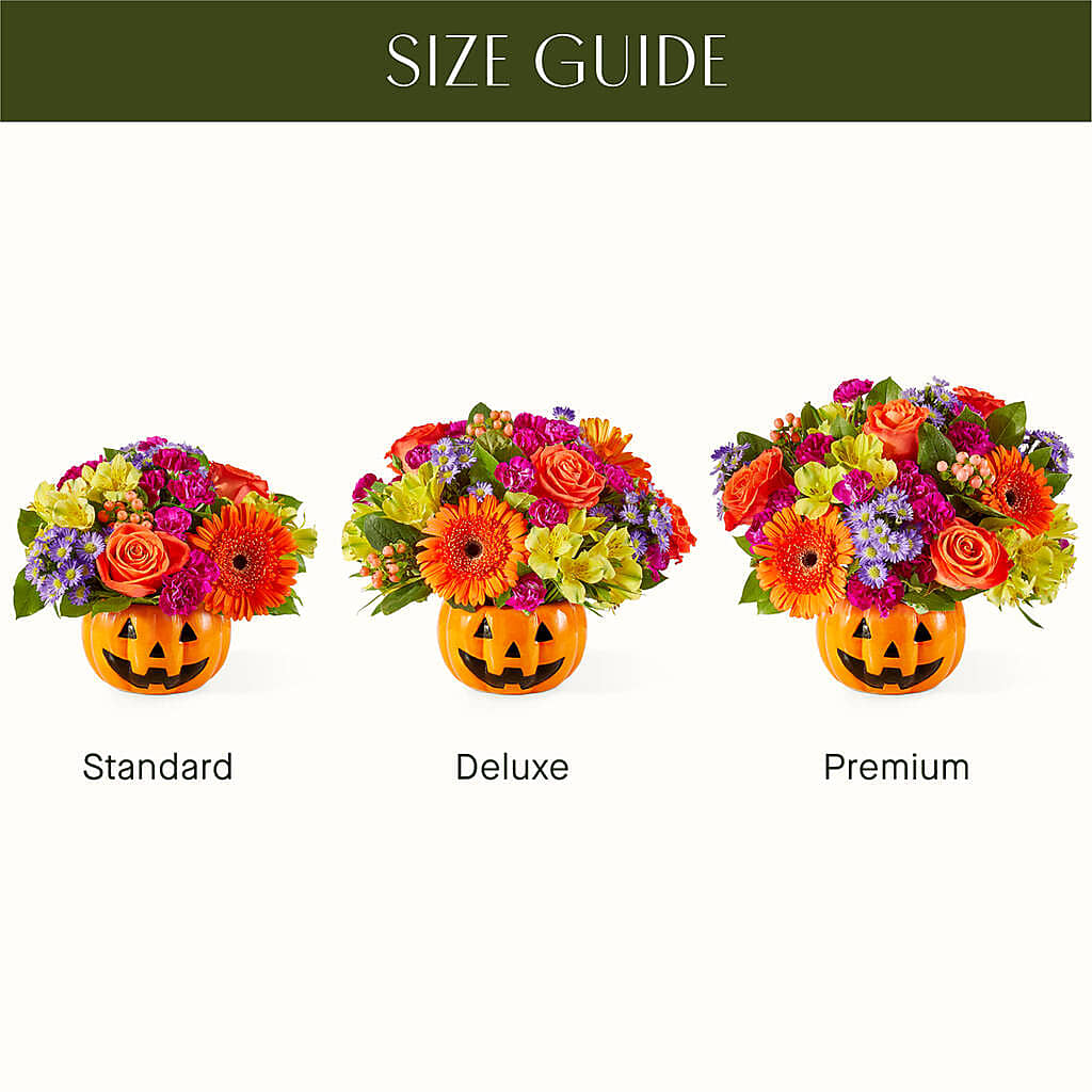 Tricks & Treats Pumpkin – Oopsie Daisy Llc, Berlin NJ