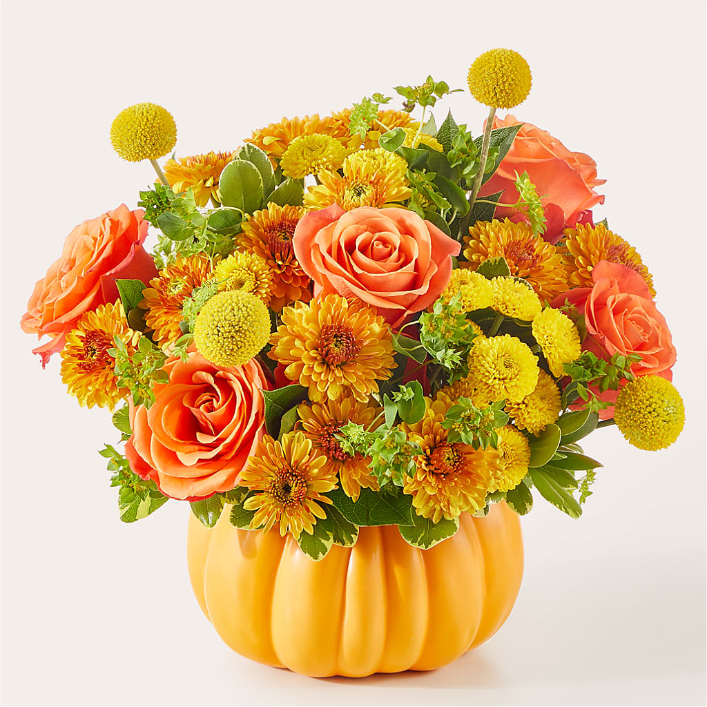 Gourdgeous Pumpkin – Oopsie Daisy Llc, Berlin NJ
