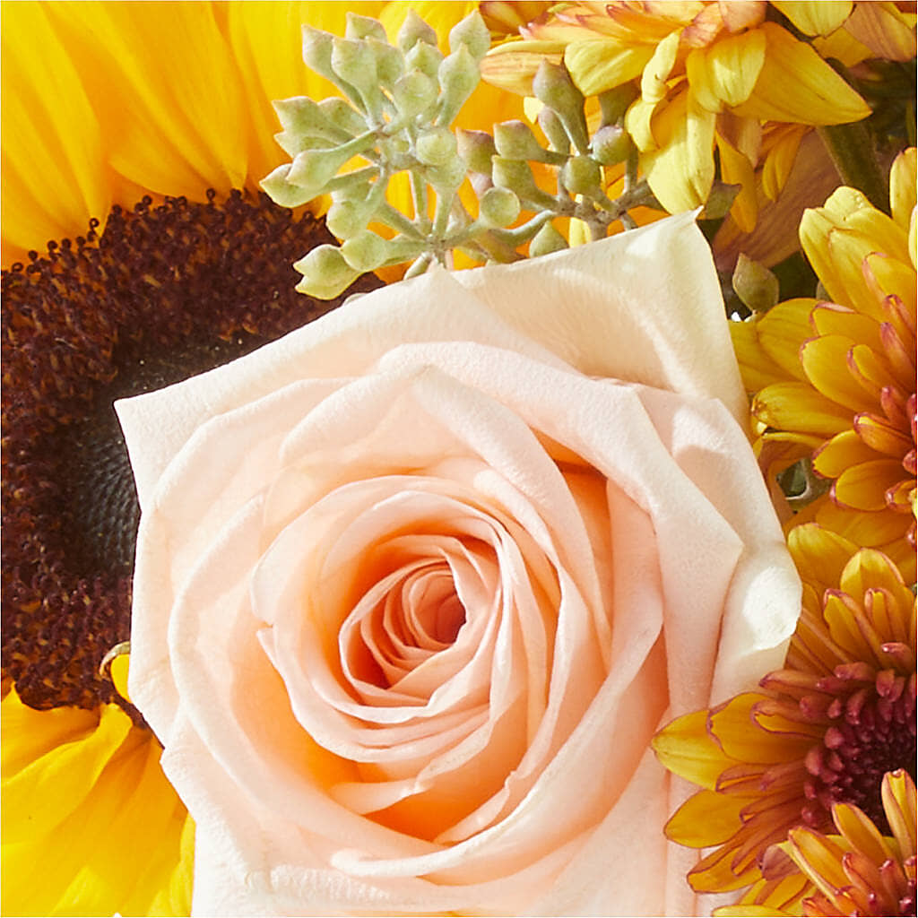 Pumpkin to Talk About Bouquet – Oopsie Daisy Llc, Berlin NJ