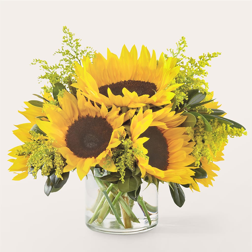 Beaming Sunflower Bouquet – Oopsie Daisy Llc, Berlin NJ