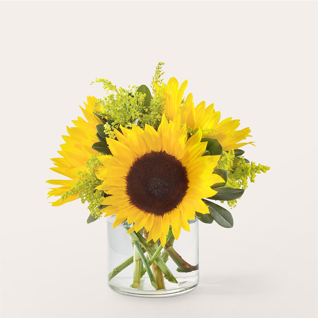 Beaming Sunflower Bouquet – Oopsie Daisy Llc, Berlin NJ