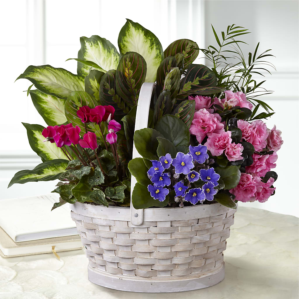 Peaceful Garden Planter – Oopsie Daisy Llc, Berlin NJ