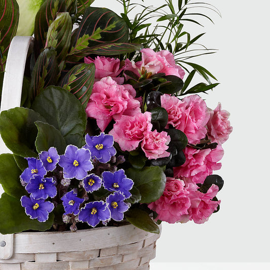 Peaceful Garden Planter – Oopsie Daisy Llc, Berlin NJ