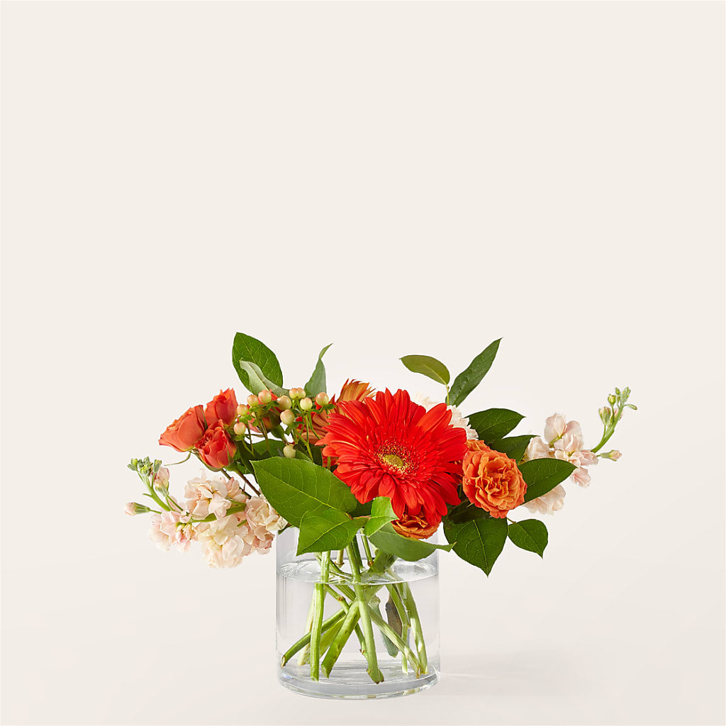Paloma Please Bouquet – Oopsie Daisy Llc, Berlin NJ