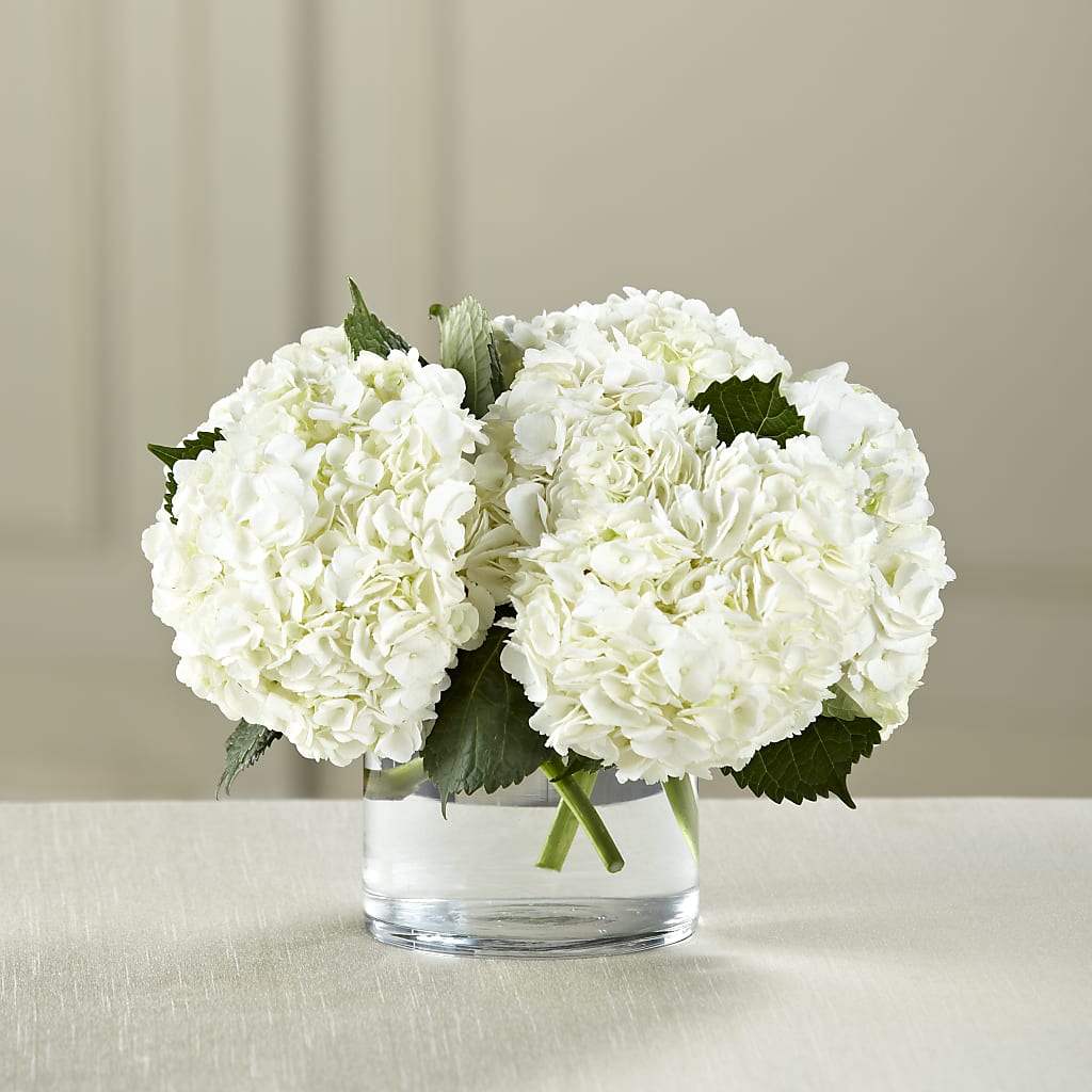 White Hydrangea Bouquet – Oopsie Daisy Llc, Berlin NJ