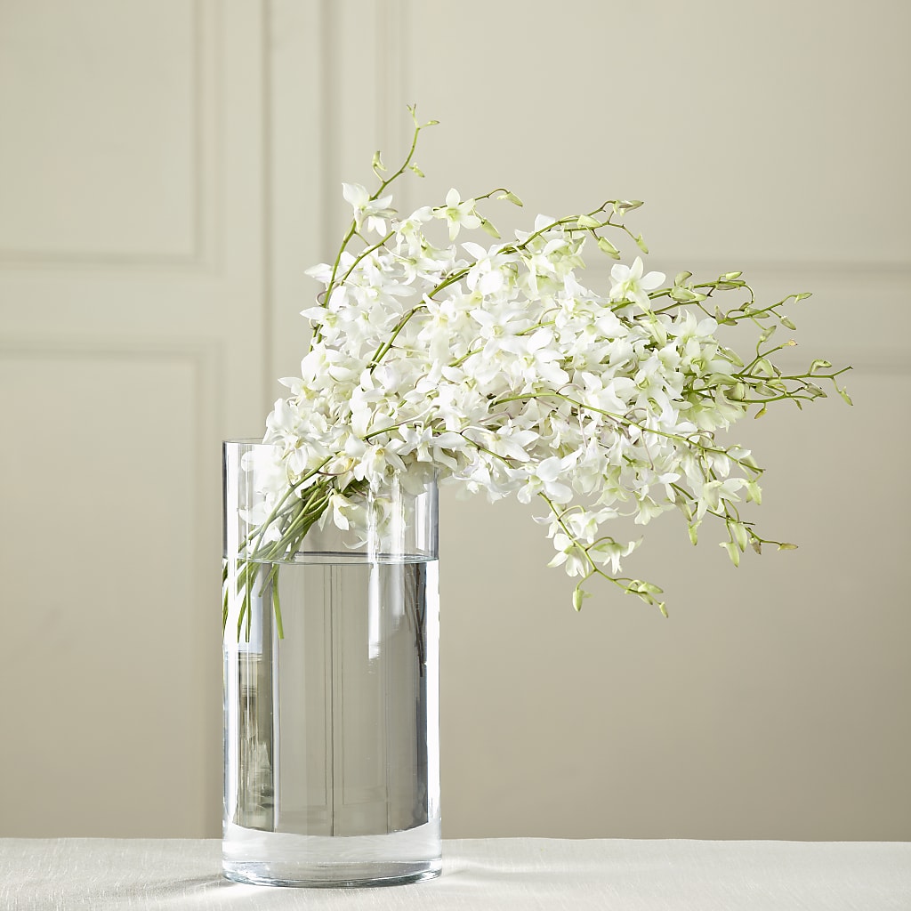 White Dendrobium Bouquet – Oopsie Daisy Llc, Berlin NJ
