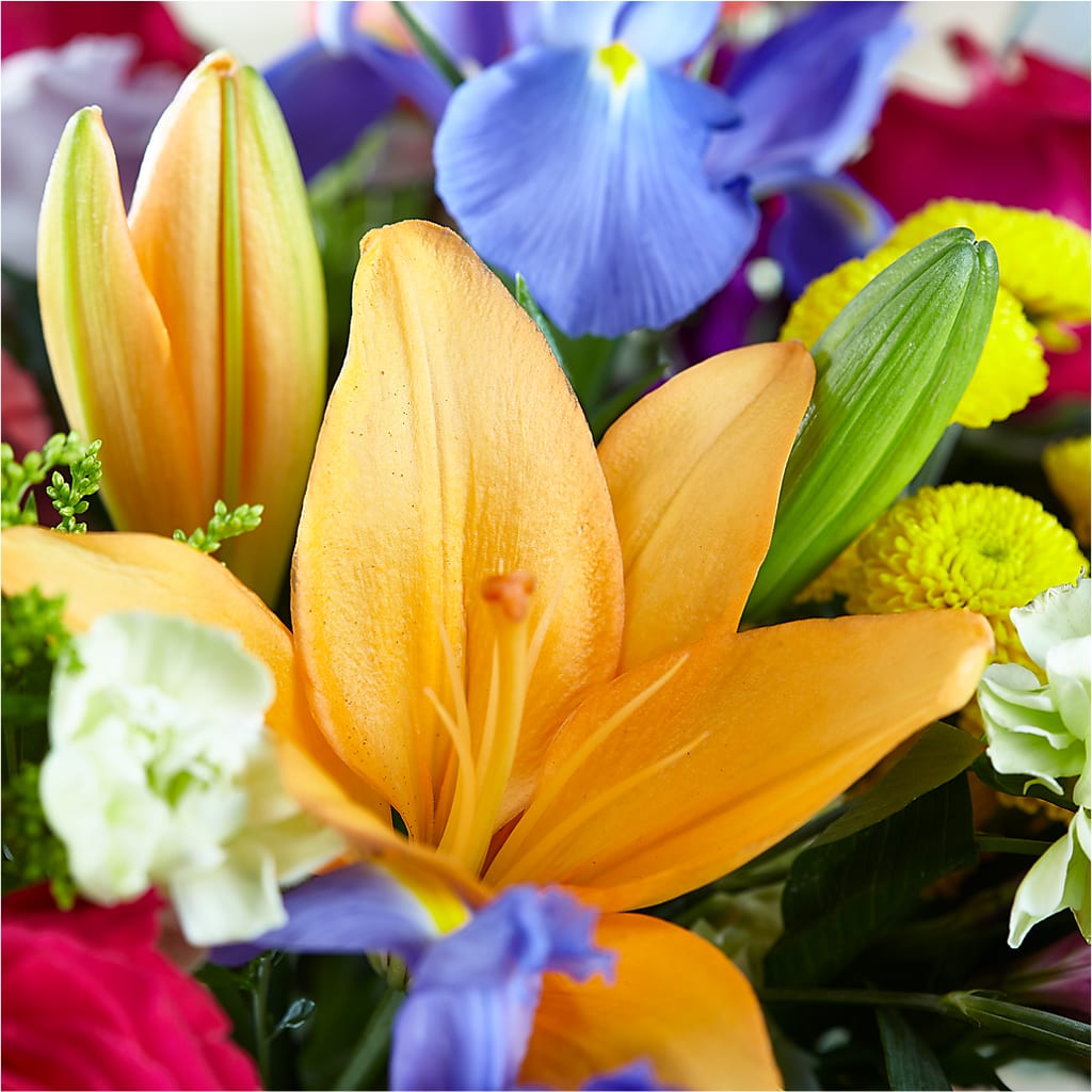 Bold & Bright – A Florist Original –  Oopsie Daisy Llc, Berlin NJ