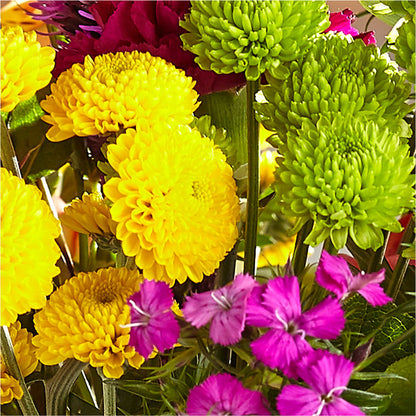 Bold & Bright – A Florist Original –  Oopsie Daisy Llc, Berlin NJ