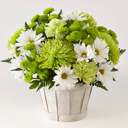 Lucky Charm Basket (Standard) –  Oopsie Daisy Llc, Berlin NJ