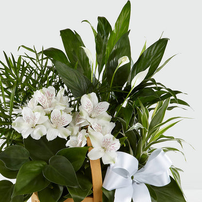 Peace & Serenity Dishgarden –  Oopsie Daisy Llc, Berlin NJ
