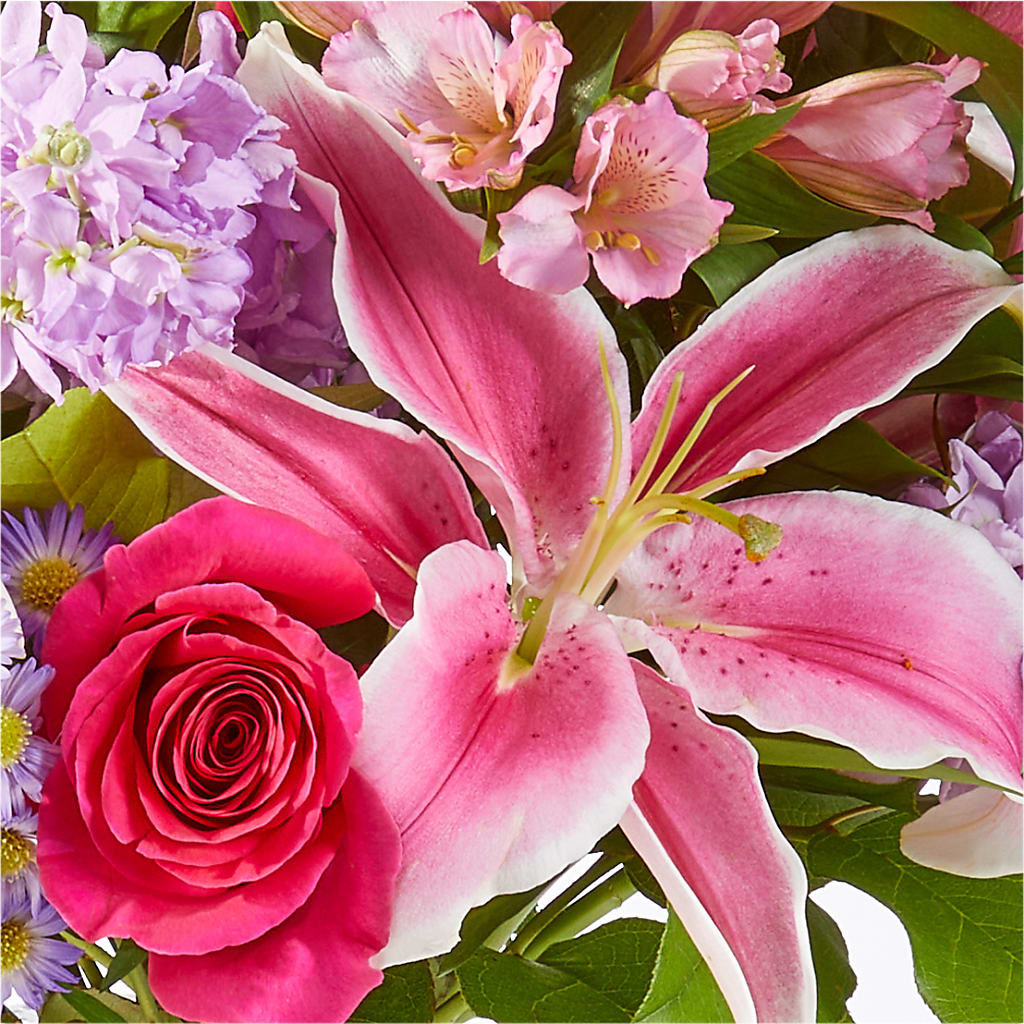 Written in the Stars Bouquet –  Oopsie Daisy Llc, Berlin NJ