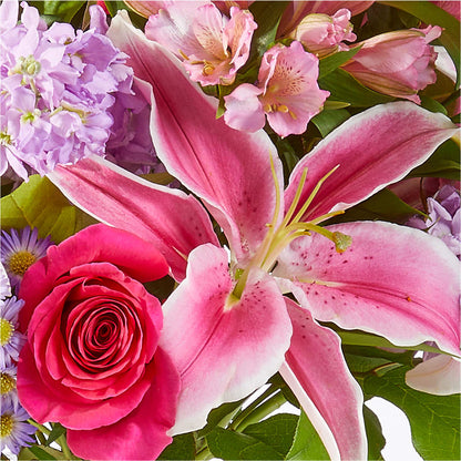 Written in the Stars Bouquet –  Oopsie Daisy Llc, Berlin NJ