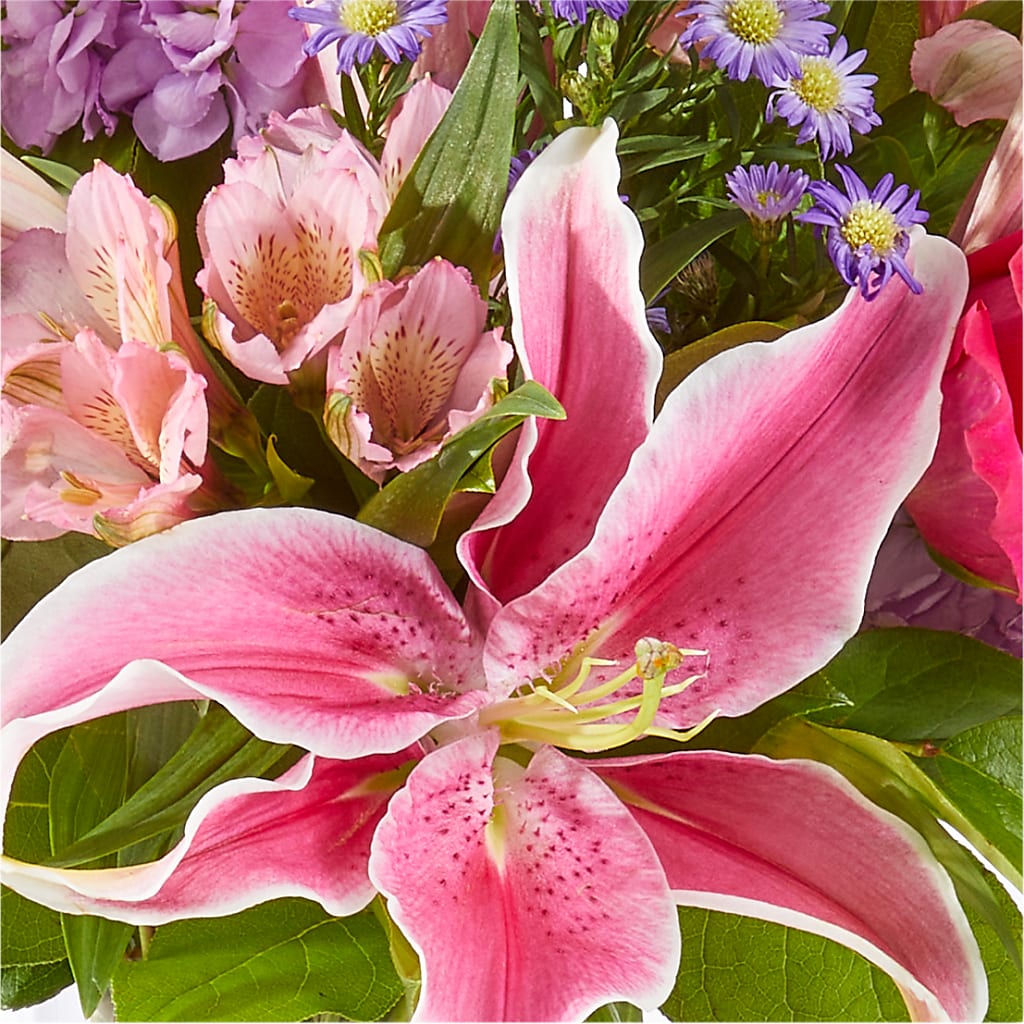 Written in the Stars Bouquet –  Oopsie Daisy Llc, Berlin NJ