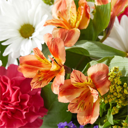 Oopsie Daisy Box Bouquet –  Oopsie Daisy Llc, Berlin NJ