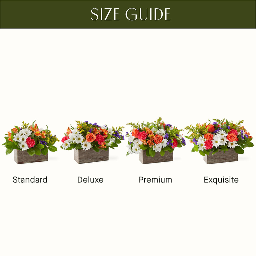 Oopsie Daisy Box Bouquet –  Oopsie Daisy Llc, Berlin NJ