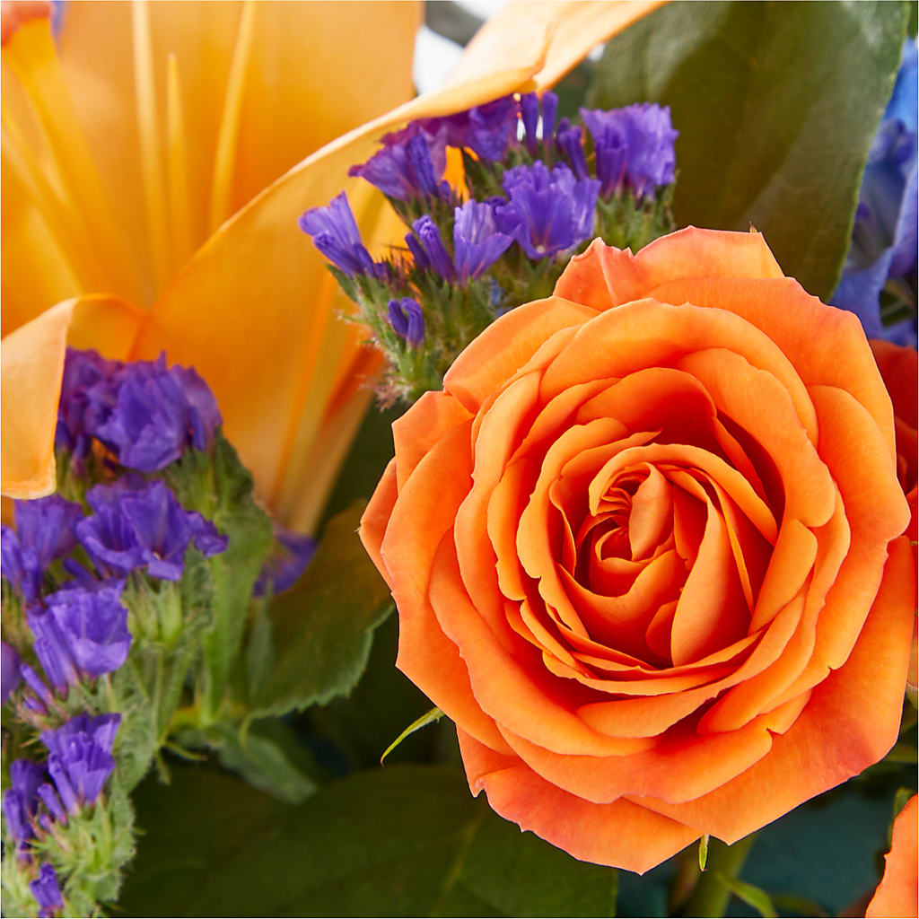 Radiant Citrus Box Bouquet –  Oopsie Daisy Llc, Berlin NJ