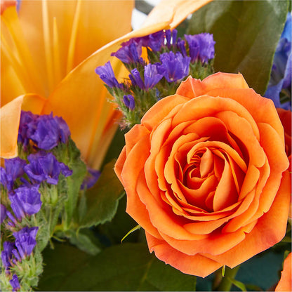 Radiant Citrus Box Bouquet –  Oopsie Daisy Llc, Berlin NJ