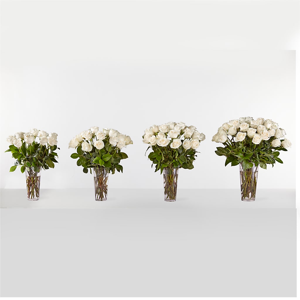 Long Stem White Rose Bouquet –  Oopsie Daisy Llc, Berlin NJ