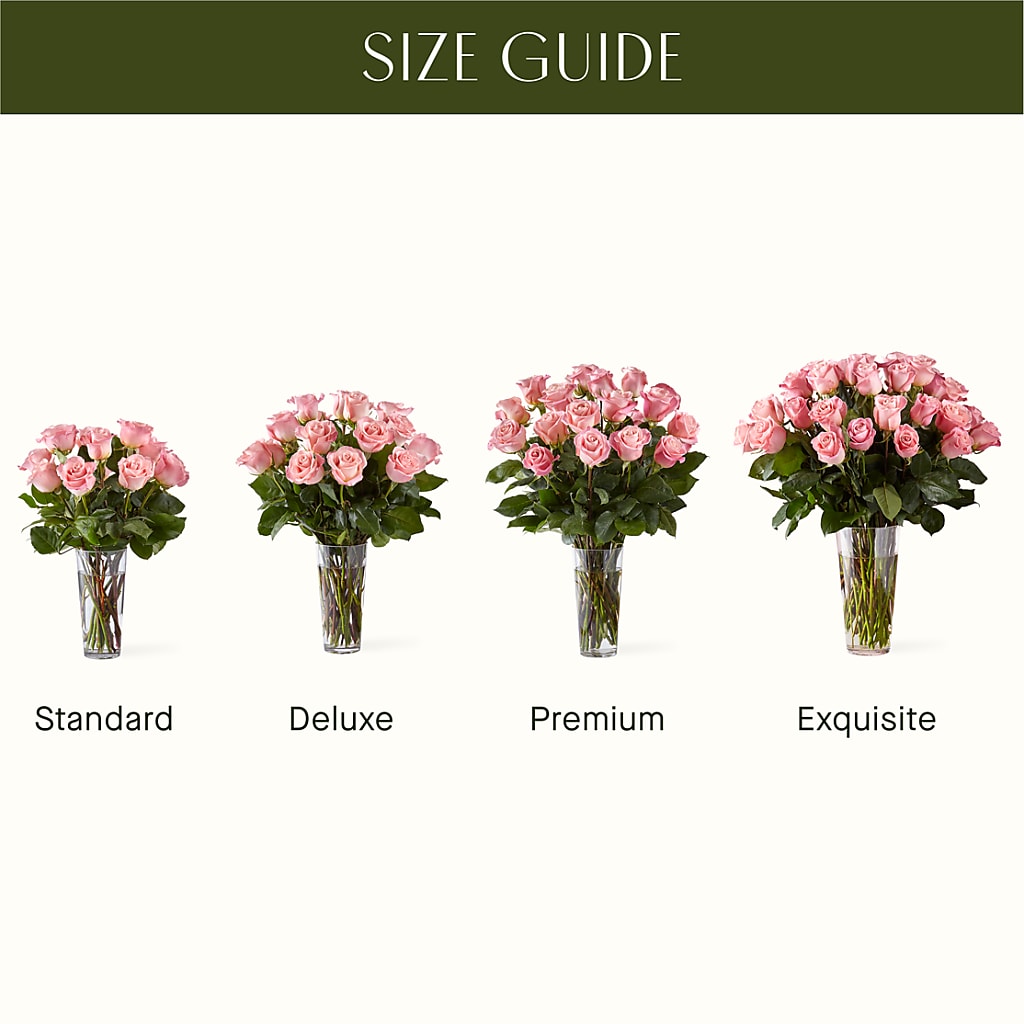 Long Stem Pink Rose Bouquet –  Oopsie Daisy Llc, Berlin NJ