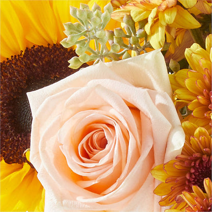 Pumpkin to Talk About Bouquet –  Oopsie Daisy Llc, Berlin NJ
