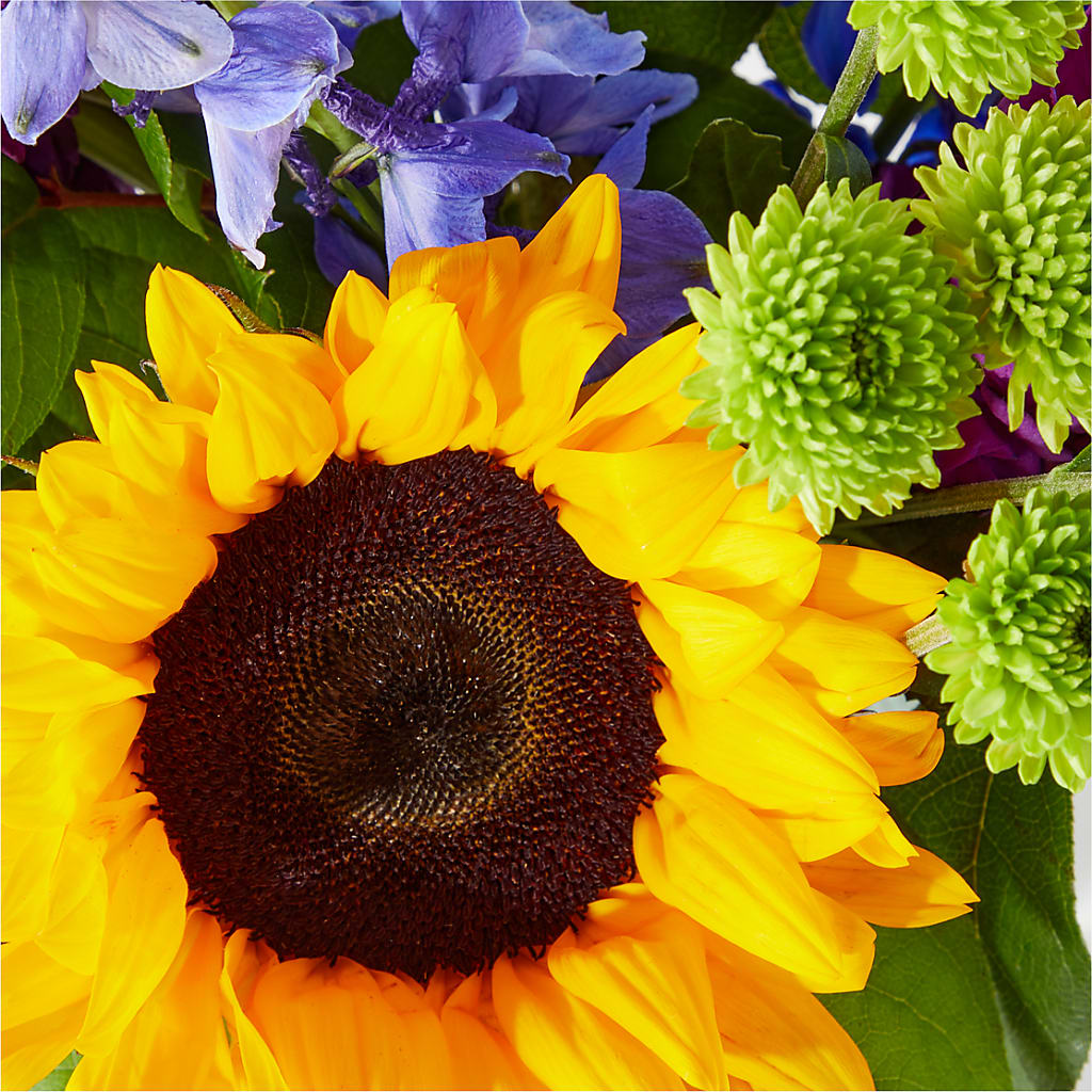 Catching Rays Bouquet –  Oopsie Daisy Llc, Berlin NJ