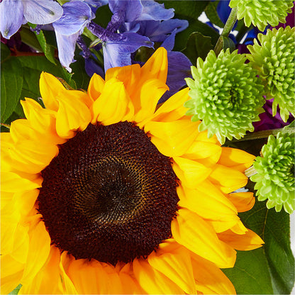 Catching Rays Bouquet –  Oopsie Daisy Llc, Berlin NJ