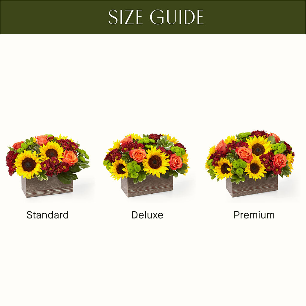 Happy Harvest Garden –  Oopsie Daisy Llc, Berlin NJ