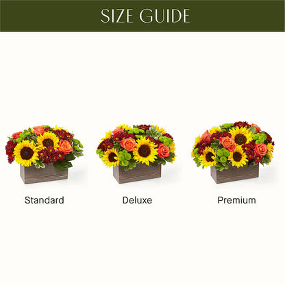 Happy Harvest Garden –  Oopsie Daisy Llc, Berlin NJ