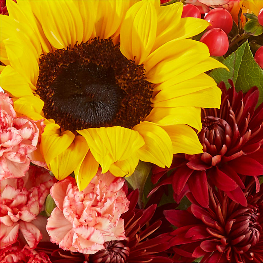 Fresh Cider Bouquet –  Oopsie Daisy Llc, Berlin NJ