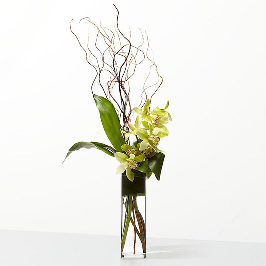 The Statement –  Oopsie Daisy Llc, Berlin NJ