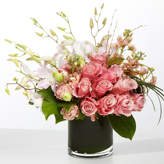 The Muse –  Oopsie Daisy Llc, Berlin NJ