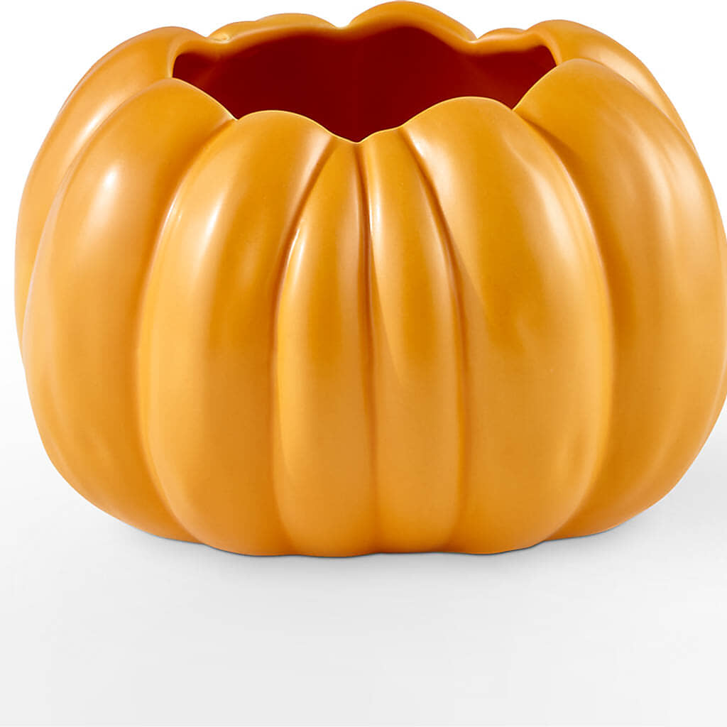 Golden Gourd Pumpkin Bouquet –  Oopsie Daisy Llc, Berlin NJ
