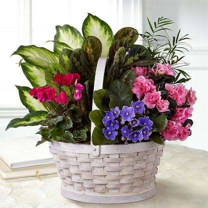 Peaceful Garden Planter –  Oopsie Daisy Llc, Berlin NJ