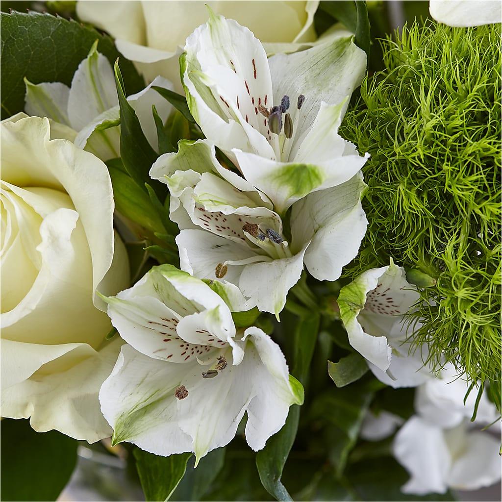 Classic Ivory – A Florist Original –  Oopsie Daisy Llc, Berlin NJ