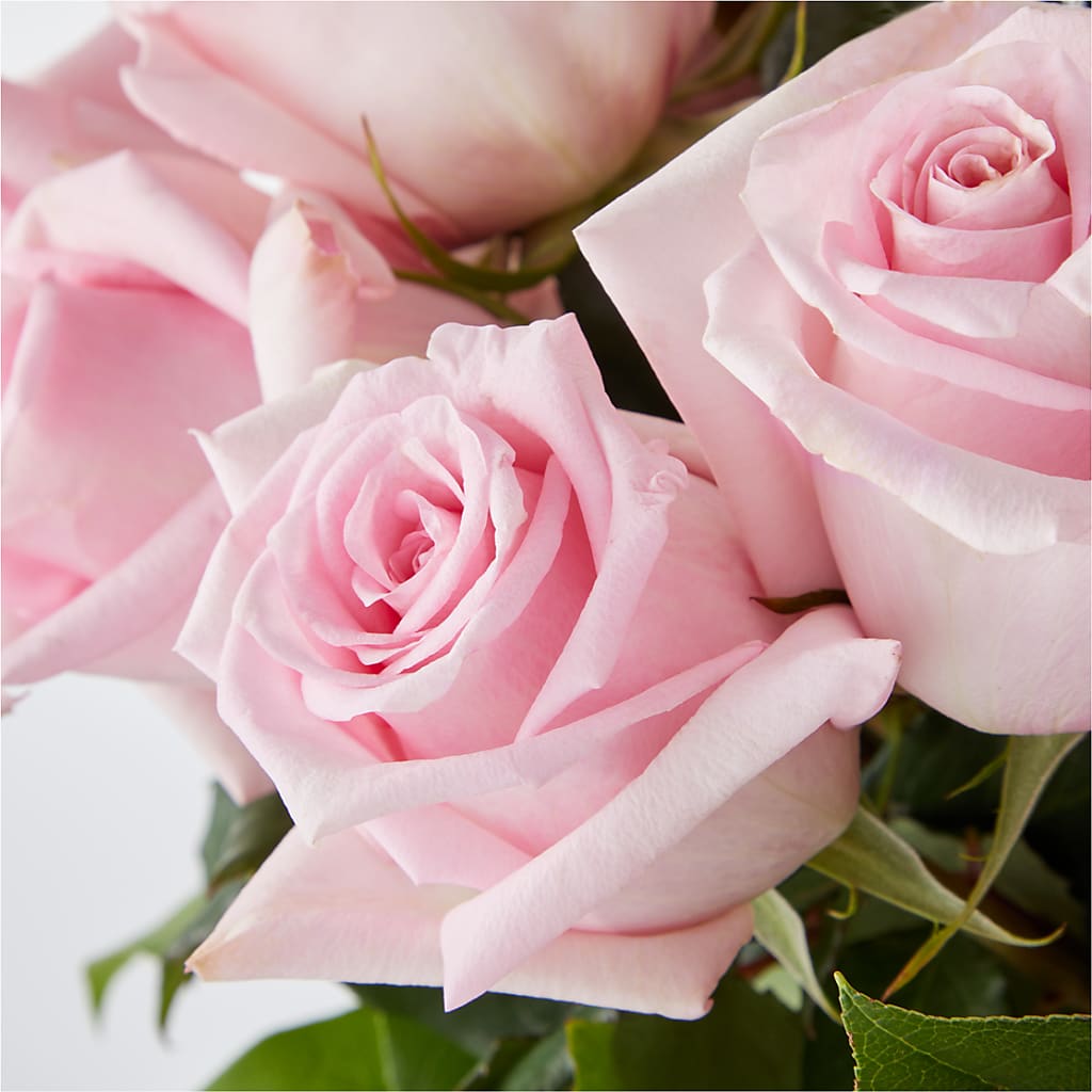 Picture Perfect Pink Rose Bouquet –  Oopsie Daisy Llc, Berlin NJ