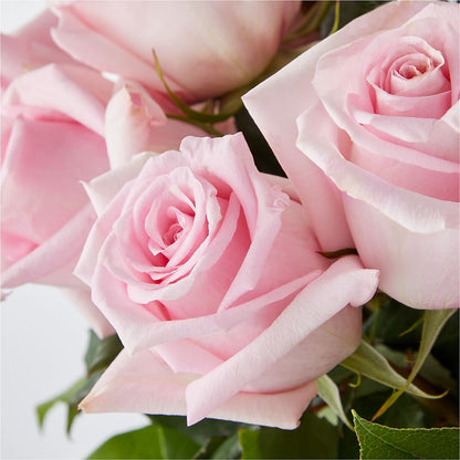 Picture Perfect Pink Rose Bouquet –  Oopsie Daisy Llc, Berlin NJ