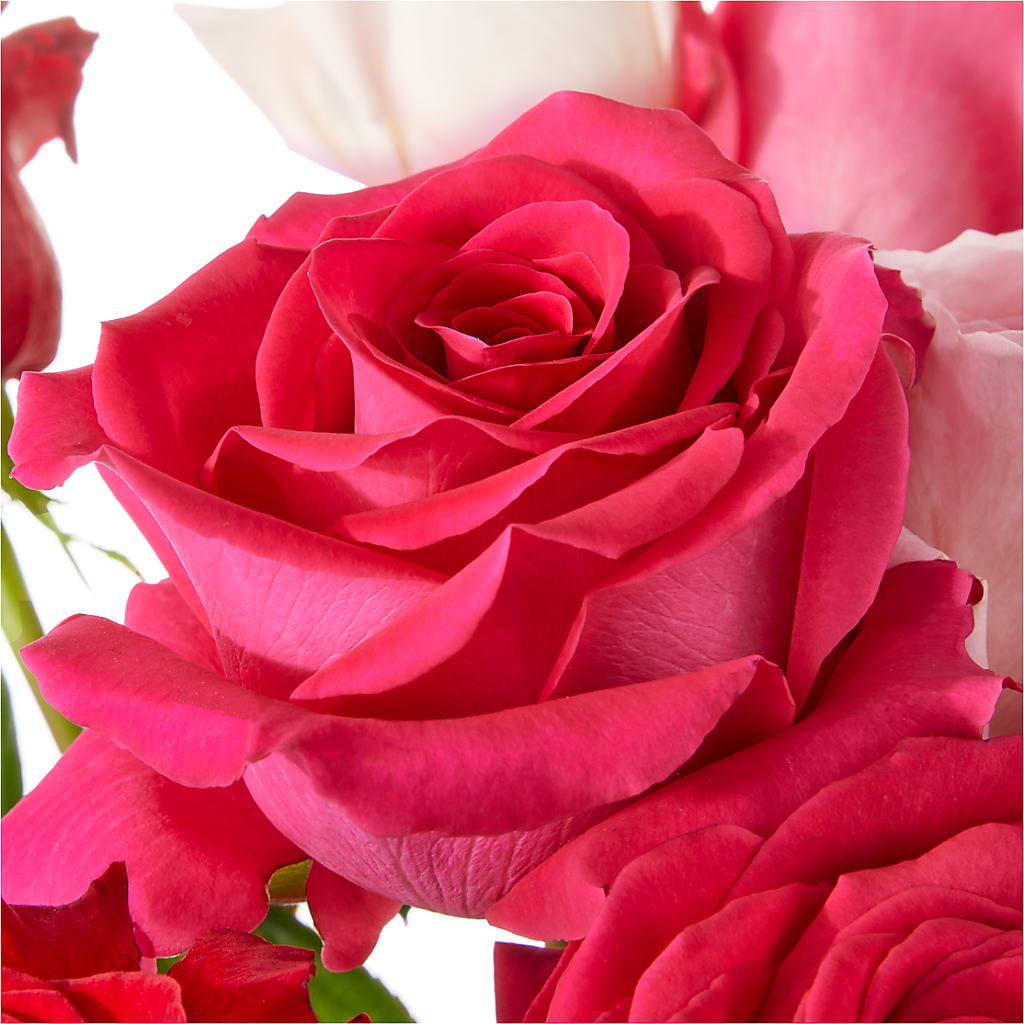 Love Notes Rose Bouquet –  Oopsie Daisy Llc, Berlin NJ