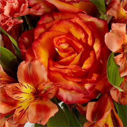 Apricot Glow Bouquet –  Oopsie Daisy Llc, Berlin NJ