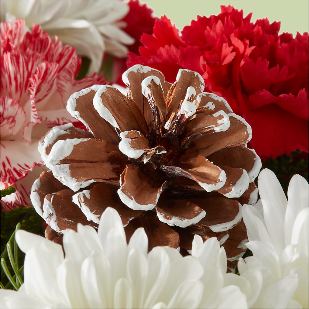 Candy Cane Lane Bouquet –  Oopsie Daisy Llc, Berlin NJ