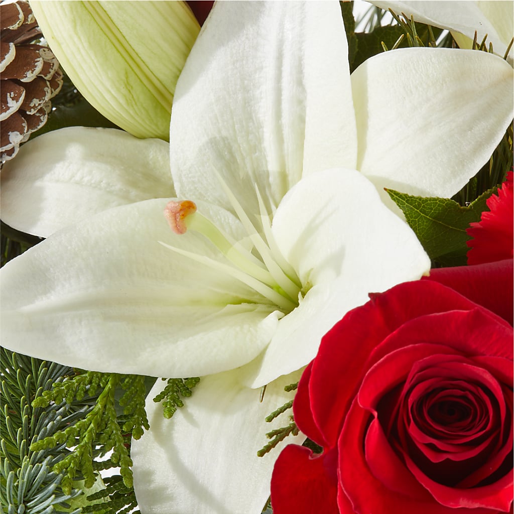 Oh So Jolly Bouquet –  Oopsie Daisy Llc, Berlin NJ