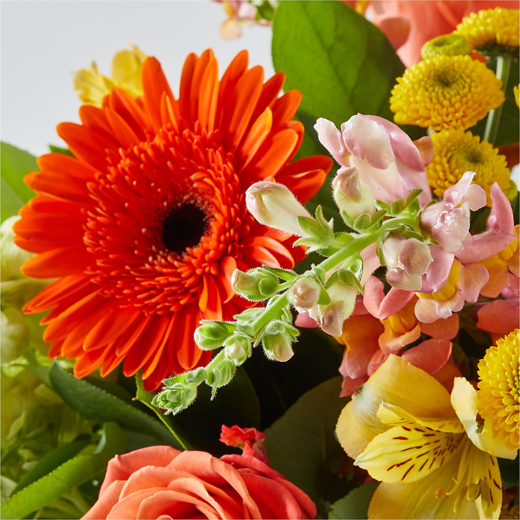 Autumn Sunshine Bouquet –  Oopsie Daisy Llc, Berlin NJ