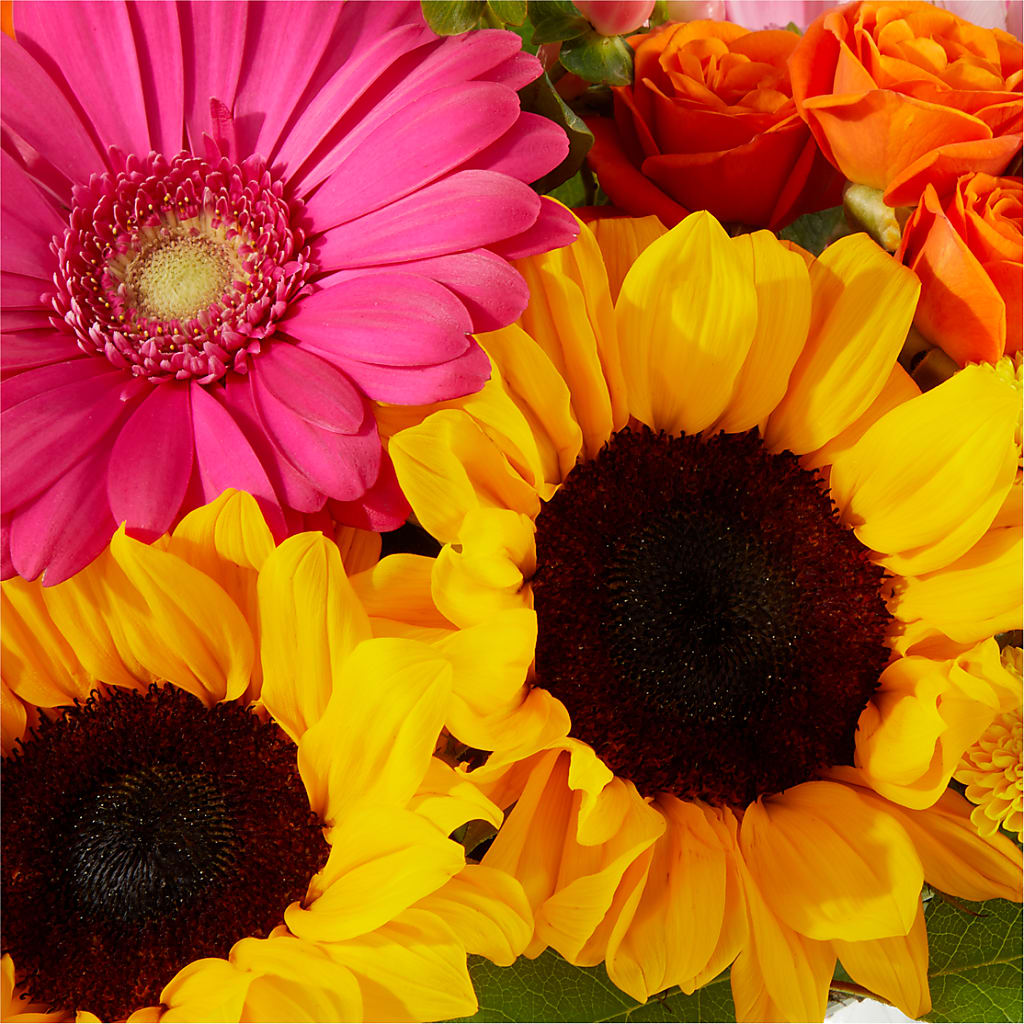 Beach Day Bouquet –  Oopsie Daisy Llc, Berlin NJ