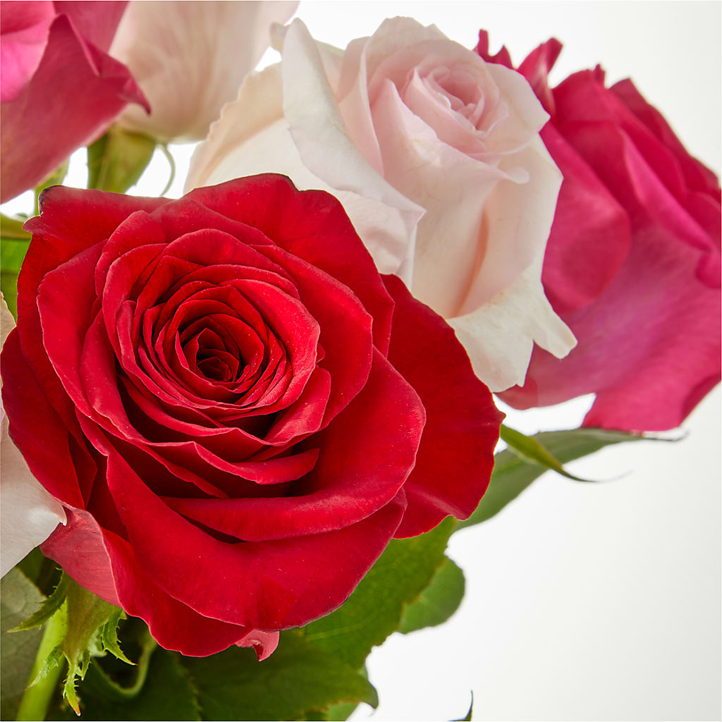 Charming Rose Bouquet –  Oopsie Daisy Llc, Berlin NJ
