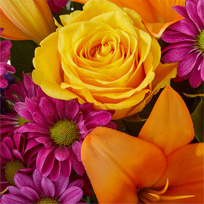 Colorful Visions Bouquet –  Oopsie Daisy Llc, Berlin NJ