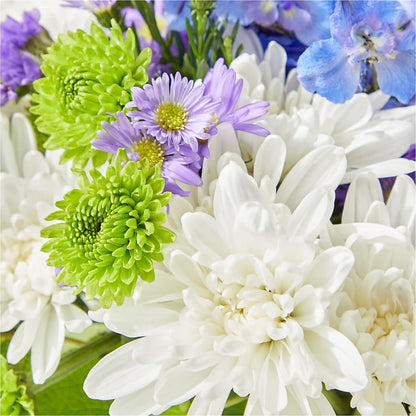 Genuine Gestures Bouquet –  Oopsie Daisy Llc, Berlin NJ