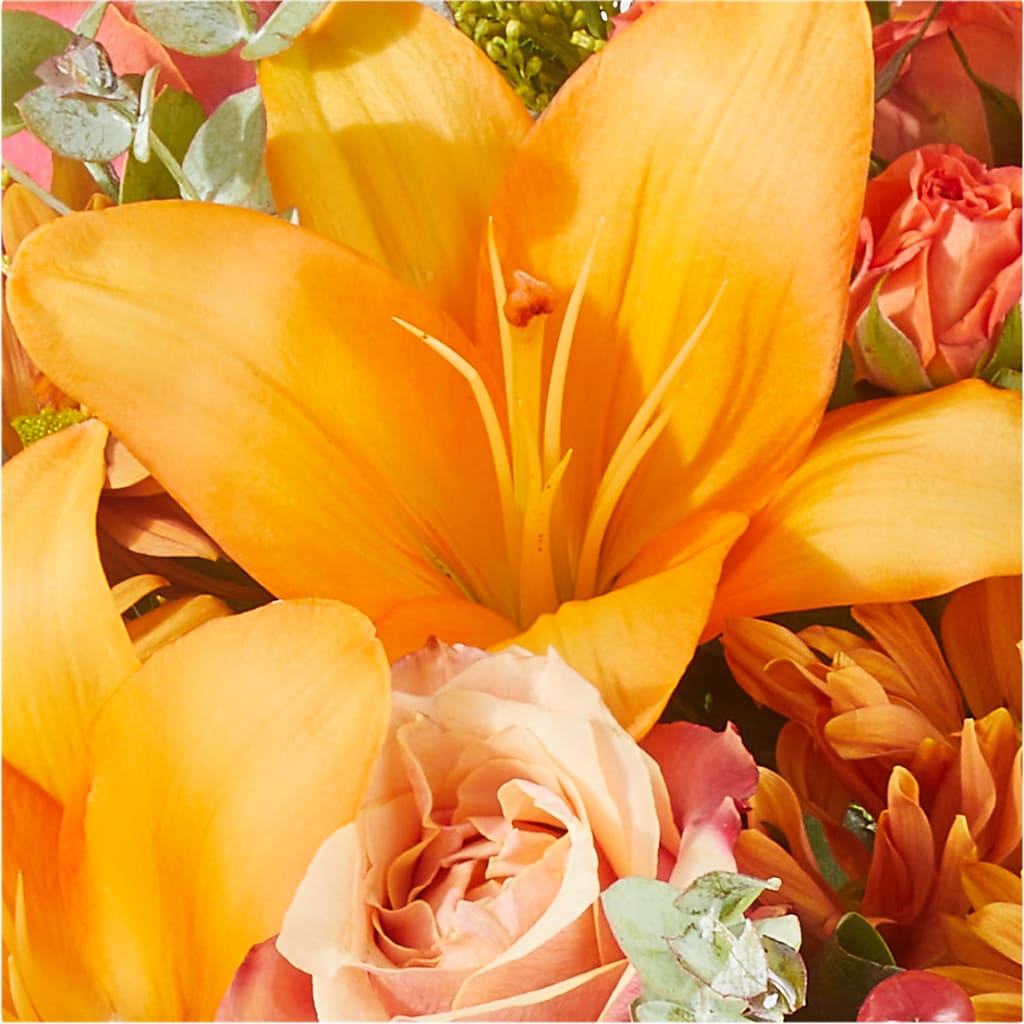 Harvest Hayride Bouquet –  Oopsie Daisy Llc, Berlin NJ